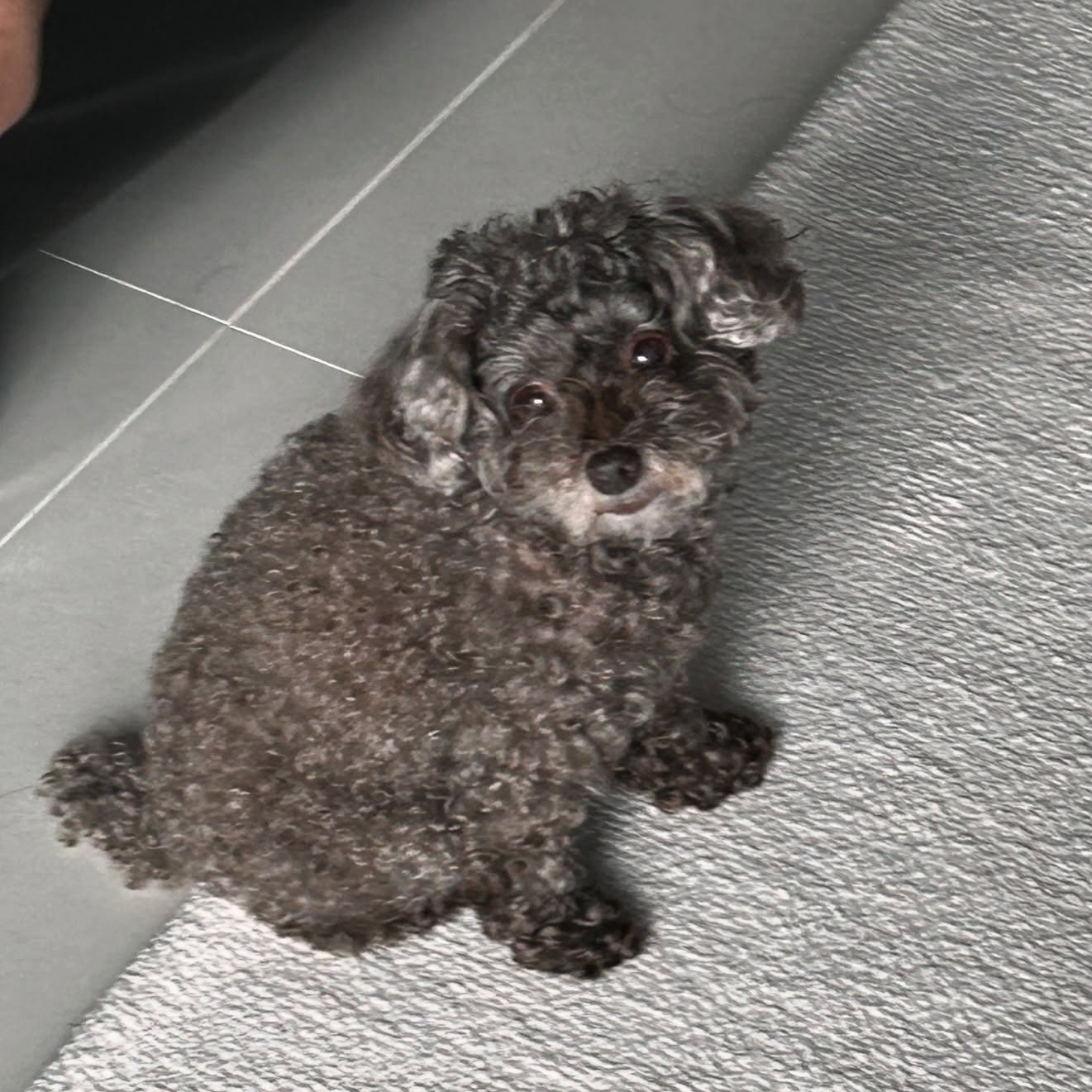 오덕이는 오늘도 예쁘다