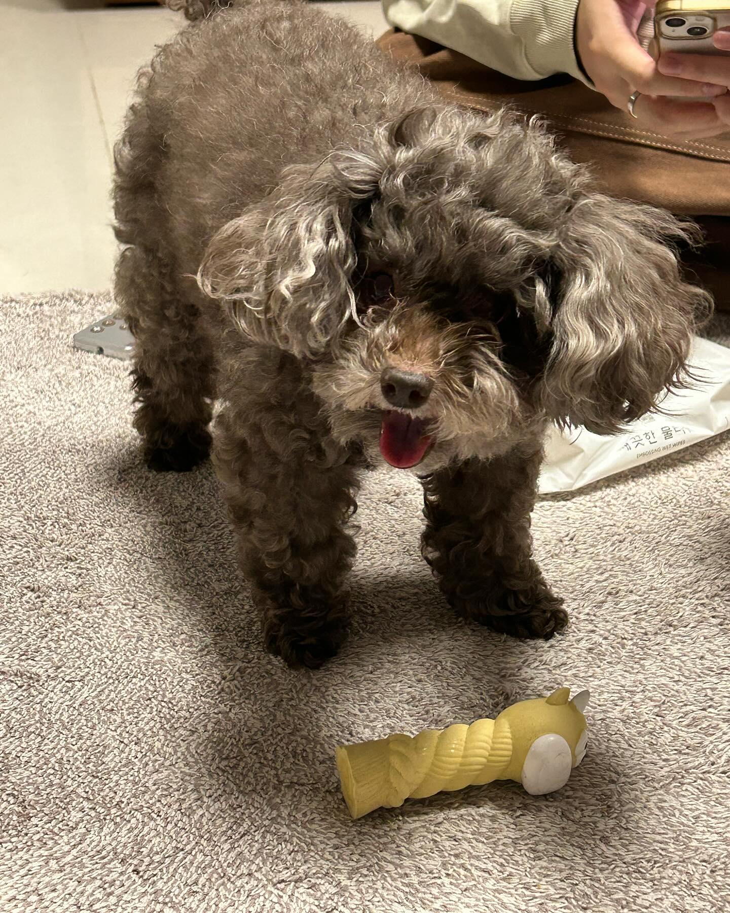 오득이 귀여워 @odduck2