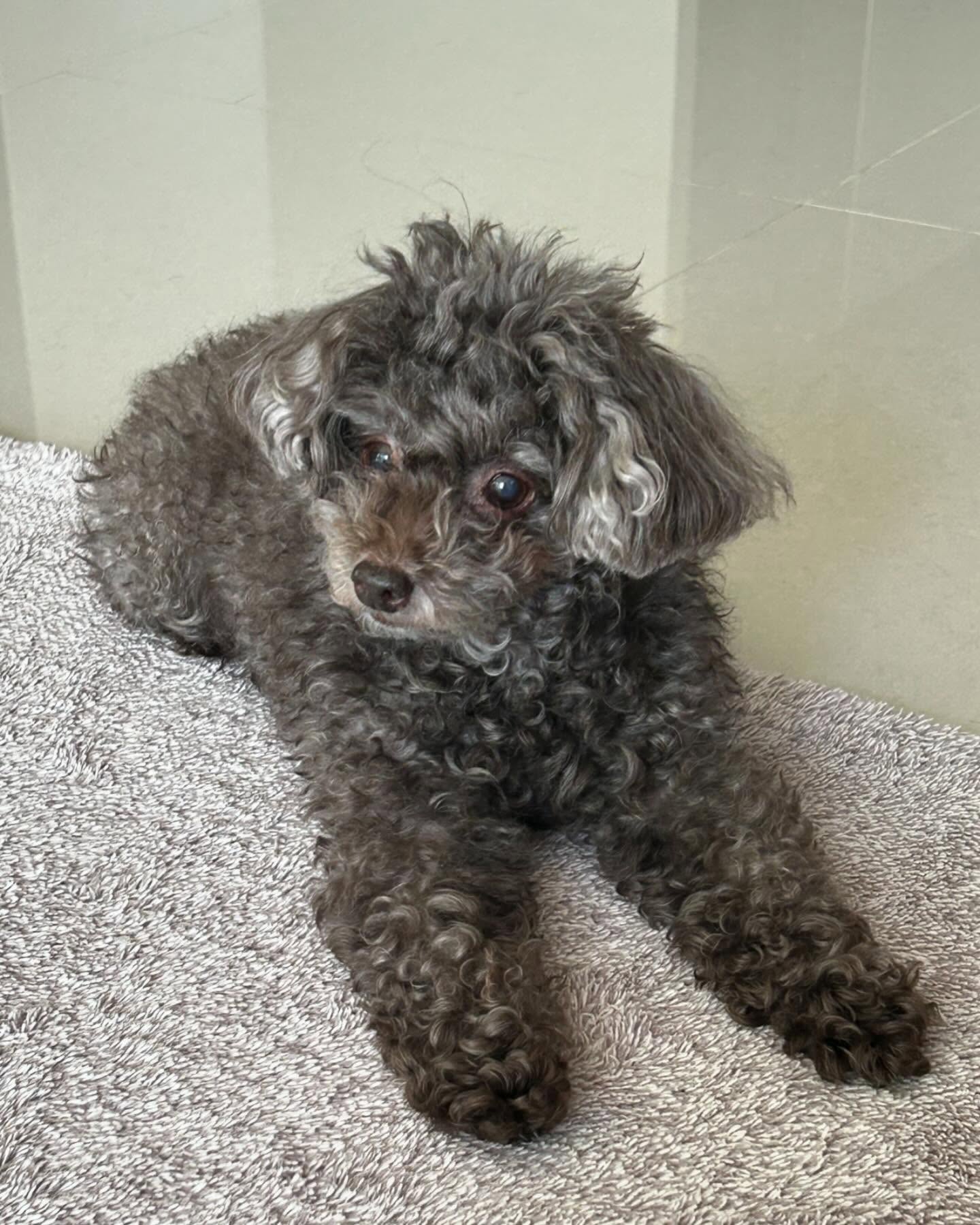 @odduck2 하와이행 1일차. 형석이네